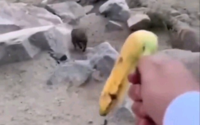 ???