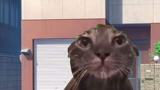 【Delicious】Quickshooter | Cat meme
