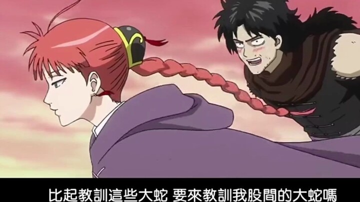 Ayah kelinci meremas bola untuk mengejar ibu kelinci? ! Gintama / Shenhuang Jianghua