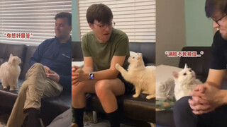 猫咪：老公你快说句话呀！