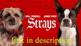 watch Strays movie for free: link in description