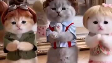 cuts cats dancing