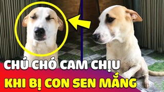 Cưng xỉu 'BIỂU CẢM' của chú Chó khi bị Sen quát, âu cũng chỉ vì cái tội 'MÊ TRAI' khó bỏ 🤣 Gâu Đần