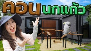 ทำคอนนก จะยืนกันไหม? (DIY Bird Perch Stand) Ep.204