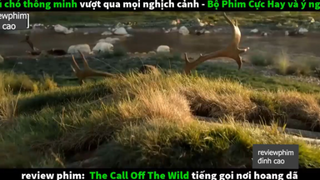tiếng gọi nơi hoang dã p2 #reviewphimdinhcao