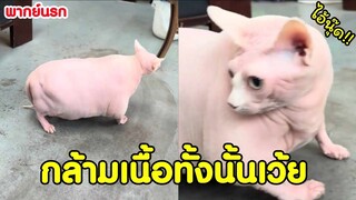 กล้ามเนื้อทั้งนั้น ไขมันไม่เกี่ยวนุ๊ด #พากย์นรก