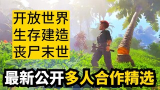 Exciting! Latest publicly revealed multiplayer cooperative dark horse introduction (survival craftin