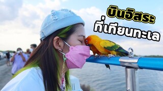 เปิดแมพใหม่ บินอิสระเทียนทะเล32