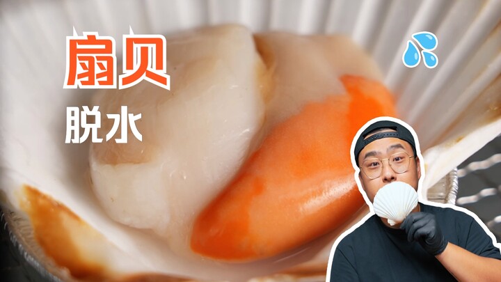 What does a dehydrated scallop taste like?! | “Do You Like It Wet?” series