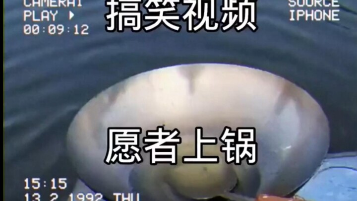 Thanks for nature's gifts.