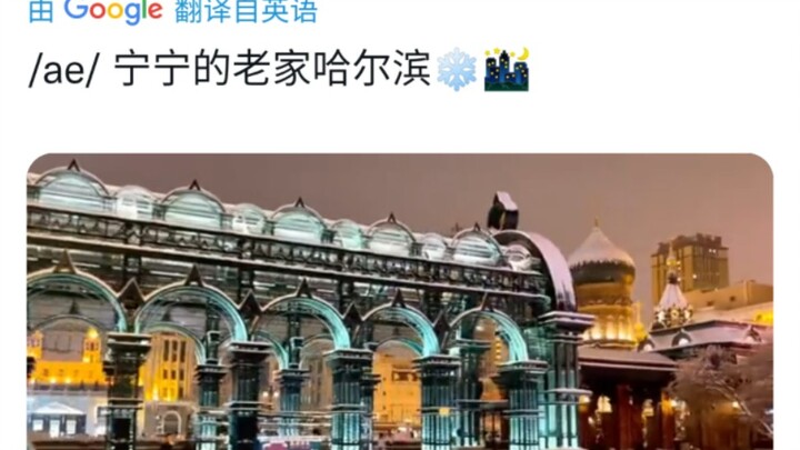 【Ning Yizhuo】Người hâm mộ nước ngoài: “Cô ấy ở Cáp Nhĩ Tân, bảo sao chẳng sợ lạnh”; “Cảm giác như đa