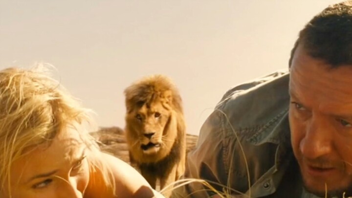 Saat sedang berfoto, wanita itu justru bertemu dengan seekor singa!