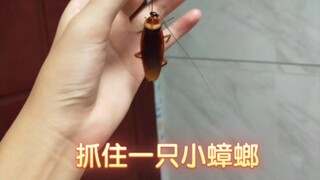 Find yourself a girlfriend from Guangdong—she can really protect you, I'm serious.
