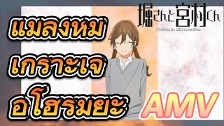 [โฮริมิยะ สาวมั่นกับนายมืดมน] AMV|แมลงหุ้มเกราะเจอโฮริมิยะ