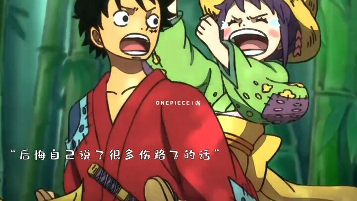 他又怎么会不懂艾斯的温柔，那可是他最崇拜的哥哥啊！