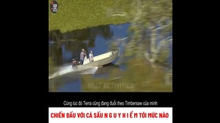 Chiến đấu với cá sấu nguy hiểm đến mức nào ? | review phim
