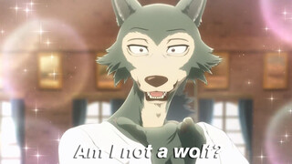 [MAD|Beastars] Legoshi là gay hay Husky?