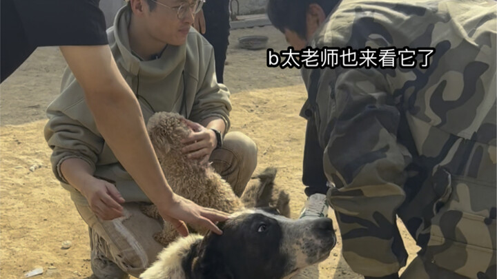 The Clumsy Rebirth Journey