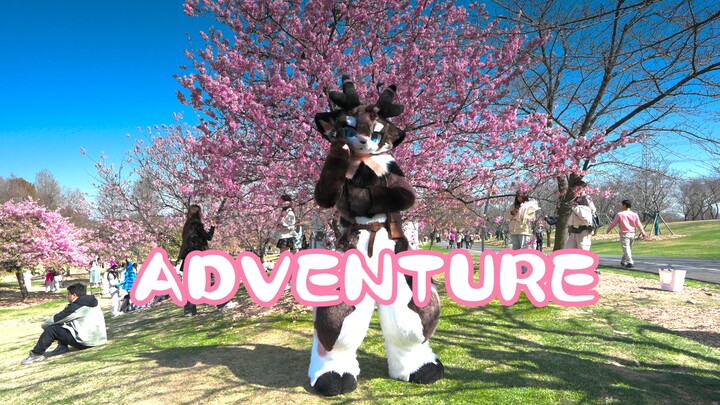 【Fursuit Dance】Come adventure with me in cherry blossom season!!