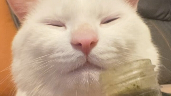 Từ hôm nay trở đi, từ chối mọi cám dỗ