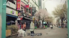 Waikiki S2 E08