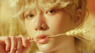 Kpop历史上叫Deja Vu的歌就没有不好听的！TXT专辑试听公开！