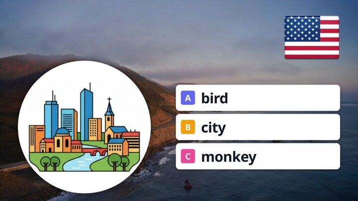 English Vocabulary Quiz A1: City, Monkey, Bird, Cutting Board