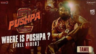 Pushpa 2: RELOADED Hindi dubbed 2025