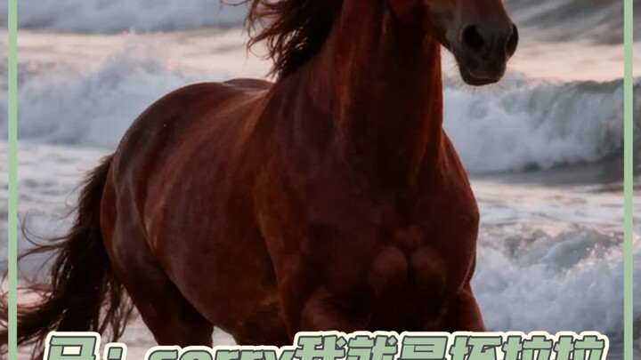 Stallion: Just breathing, Mare: Constantly provoking—beat you to a pulp #Horse #Funny #Stallion #Out