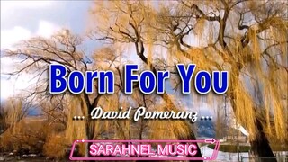 Born For You - David Pomeranz (KARAOKE VERSION)