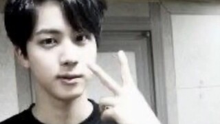BTS Jin most remarkable hair evolution (Before Military)