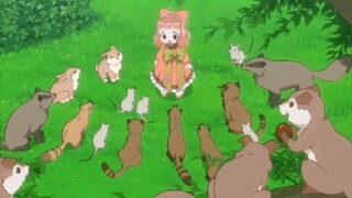 Title: Fluffy Paradise