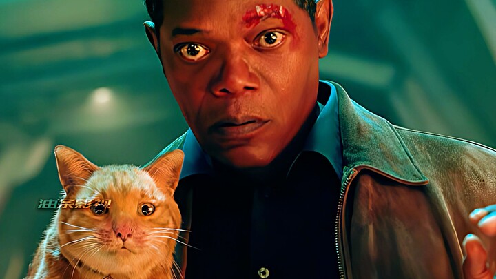 【Kapten Jingxiang 2】“Kucingnya Gila Banget”