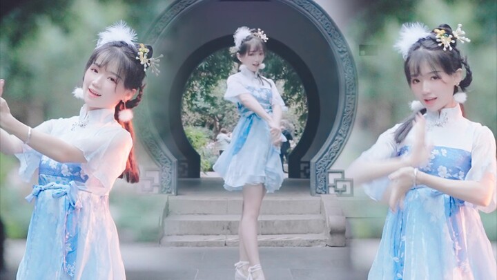 花洛洛6th❀霜降-和本甜快乐的一起蹦哒呀～