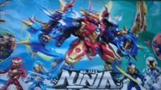 Lw Ninja No.1123