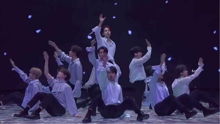 [210323 concert] seventeen-fallen' flower