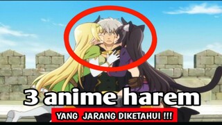 Ini dia Anime Harem Yang Jarang Diketahui !!