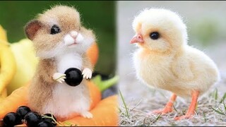 Cute Baby Animals Videos Compilation | Funny and Cute Moment of the Animals #4 - Cutest Animals