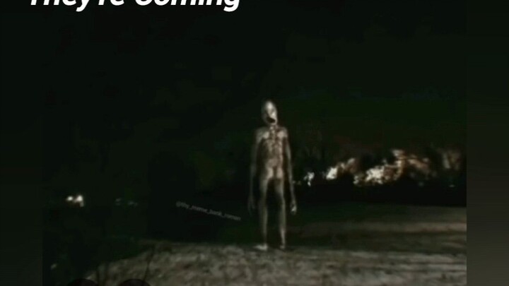 Voices and sounds of Trevor Henderson's Creatures (Part 117)