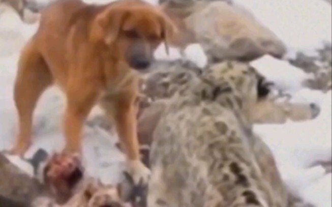 เฮ้, ไม่ทำให้มันตกใจเลย