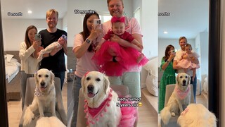 宝宝和狗狗 40秒内的12个月