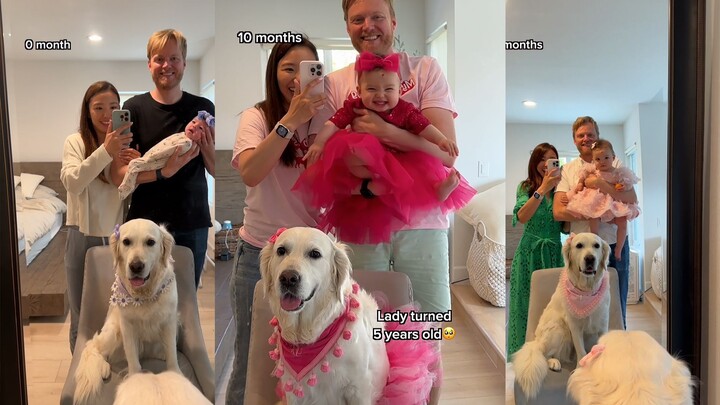 Bayi dan anjing dalam 12 bulan selama 40 detik