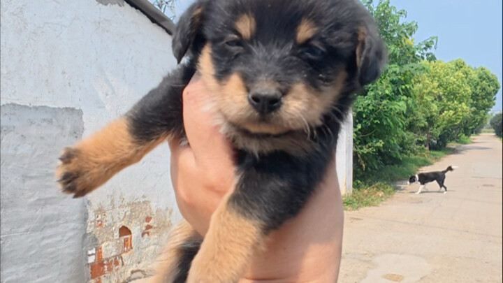 Chắc chắn là duyên phận đã định sẵn rồi