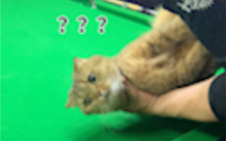 Xin lỗi, lúc đầu là do tôi dùng sai cách!