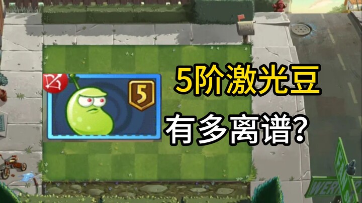 เลเซอร์ถั่วระดับ 5 รุ่นใหม่แรงแค่ไหน?