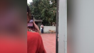- gu của n là những con gầy gầy lép lép 😂😂😂 haihuocvuinhon chơingu cuoibebung Cuoi buoncuoivl