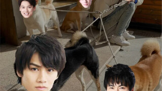 If Xianren’s team members are Reiwa Fourth Cultivators