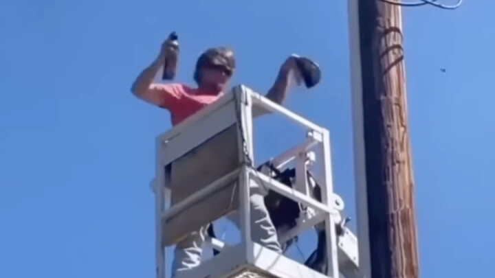 When the safety inspector shows up to inspect the construction site!