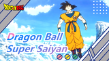 [Dragon Ball] I Became a Super Saiyan Bacause It's the Highest Level of Power