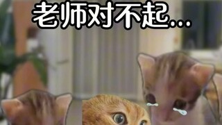 Teacher: Students are everywhere, but bad students are all in one family